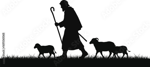 Shepherd walking with his sheep he is carrying a staff and leading his flock across a grassy field in a peaceful scene