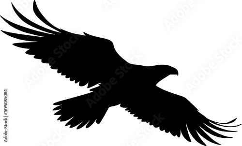Eagle silhouette flying vector illustration bird of prey predator art