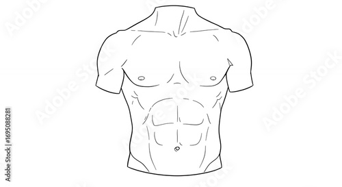 Male torso line art illustration