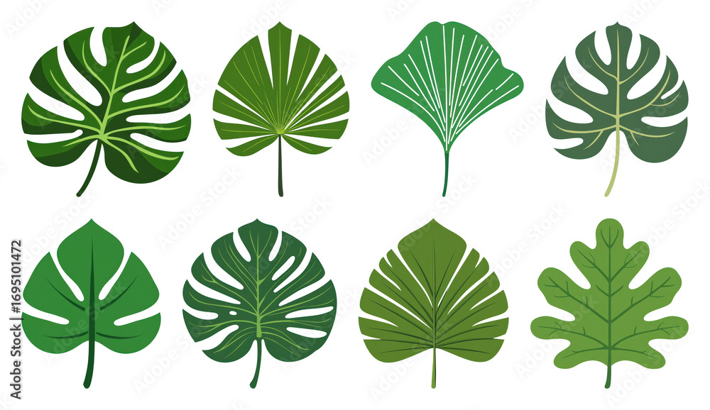 Obraz premium PNG Variety of green tropical leaves, element set on transparent background