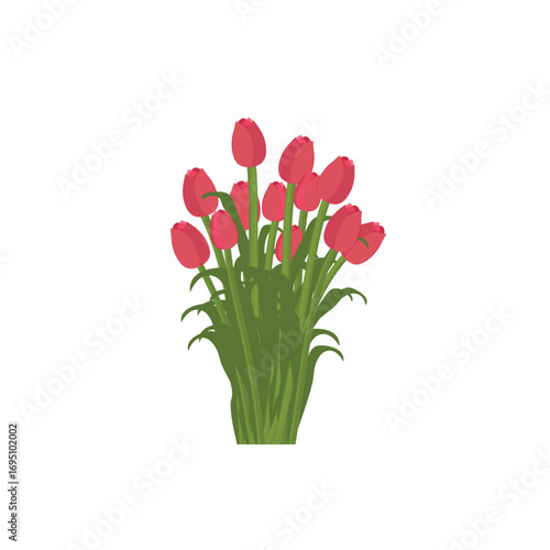 tulip flower bouquet vector