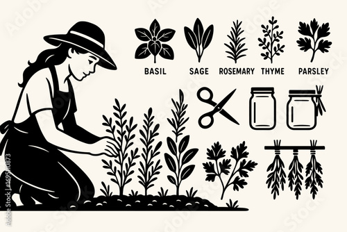 Herb Garden Tending. Horizontal vector graphic of woman tending herb garden and culinary herb icon set for labels, scissors, jars