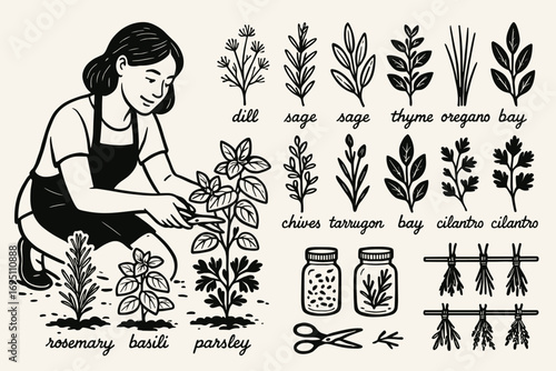 Herb Garden Tending. Horizontal vector graphic of woman tending herb garden and culinary herb icon set for labels, scissors, jars