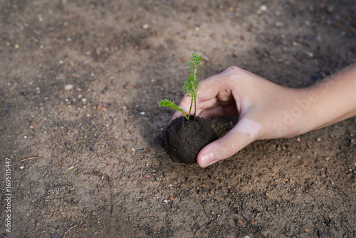 hand holds a seed ball with a sprout on the background of an empty earth. earth balls. nendo dango. Guerrilla gardening