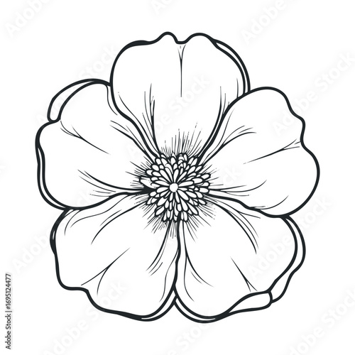Floral design concept featuring a detailed outline of a flower