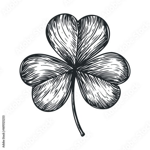 Celebrate luck with a detailed illustration of a four leaf clover. Vector hand drawn illustration