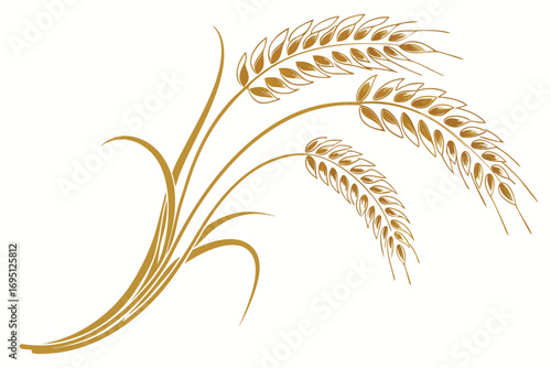 Stylized golden wheat stalks illustration on white background grain agriculture