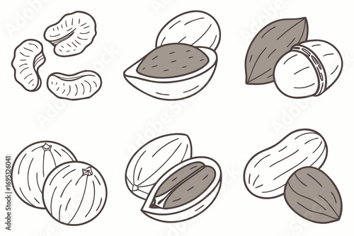 Set of six line art icons depicting various nuts and seeds with brown fill illustration cashew almond
