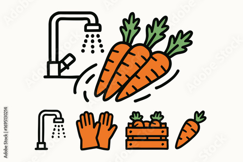 Washing Fresh Carrots. Clean vector illustration of carrots being washed and preparation icon set for sink spray, rubber gloves,