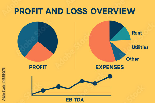 Financial Summary Overview. Flat vector banner of profit and loss overview with expense categories, pie charts, and EBITDA line