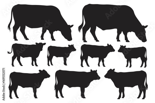 Collection of black cow silhouettes showing various poses of cattle, bulls, and calves. Isolated vector graphic illustration set for farm and agriculture design 