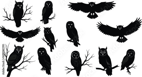 Owl silhouettes collection, flying and perched owls, black vector icons, night birds, wildlife illustrations, forest animals, bird of prey, nature designs