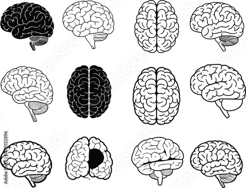 Flat vector illustration of multiple human brain images, black and white brain icons, brain anatomy diagrams, brain side and top views, neuroscience concepts, mental health symbols
