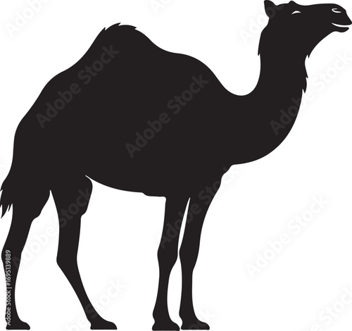 Black silhouette of a camel standing tall against a white background offering a striking and simple artistic representation suitable for graphic design and commercial projects