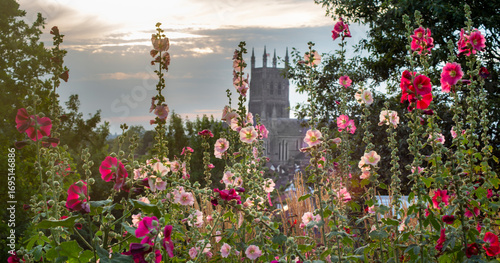 Wild summer flowers,at Fort Royal Park,looking towards Worcester Cathedral,Worcestershire,UK.