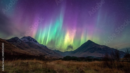 A majestic landscape undera starry night sky with flwing curtains of green andpurple aurora over a mountin range.