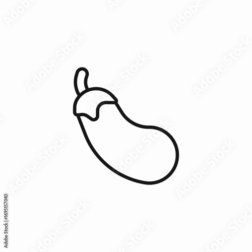 eggplant vegetable icon icon sign vector