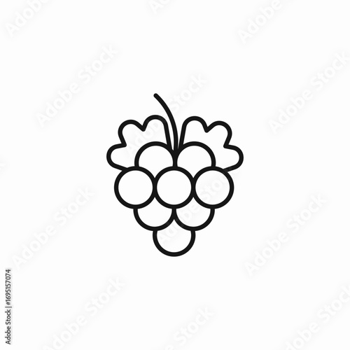 grapes bunch fruit icon sign vector
