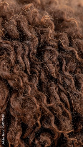 Close-up of textured brown curly fleece