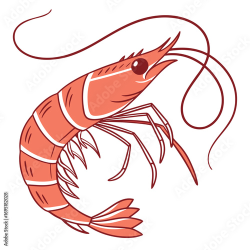 Illustration of a shrimp with long whiskers