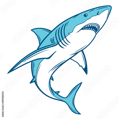 Illustration of a blue shark with open mouth