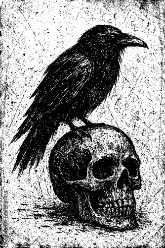 A striking black and white grunge illustration of a solitary crow perched on a human skull, featuring distressed textures. This macabre gothic art embodies mortality, mystery, and dark symbolism, perf