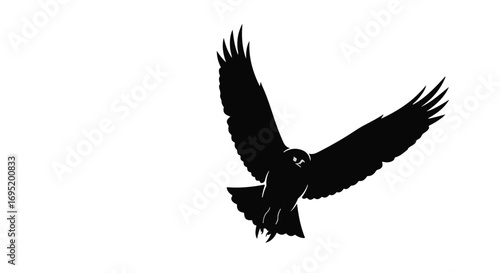 Majestic hawk in silhouette with wings spread wide, soaring against a bright sky.