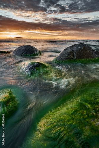 Sea Stone with Green Algae at Sunset