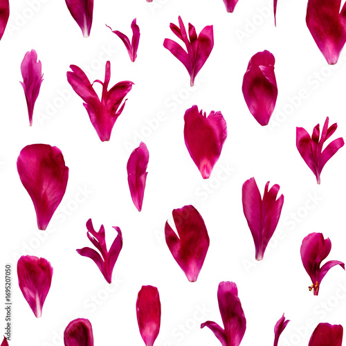 Elegant seamless pattern featuring individual red peony petals arranged on a white background. Ideal for romantic designs, fabric prints, packaging, wrapping paper and creative floral projects.