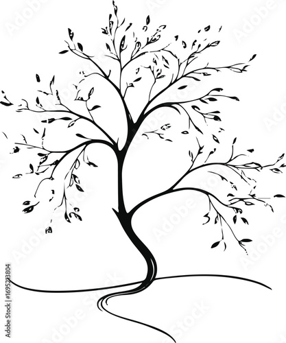 Willow Tree Outline Minimalist Black and White Line Art for Logo and Label