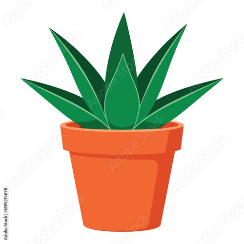 Green succulent plant in a terracotta pot ready for home decor and gardening vector