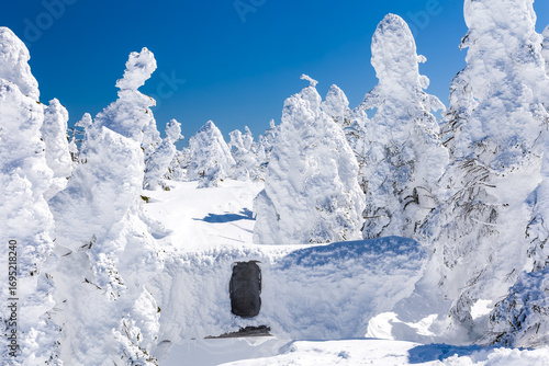 Wallpaper Mural Snow monster trees surround a buried Shinto Torii gate on a clear day in Shiga Kogen Torontodigital.ca