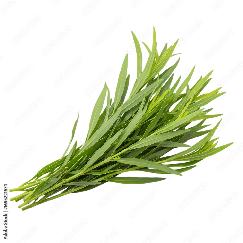 Fototapeta premium Tarragon Herb Bunch: Culinary & Medicinal Uses