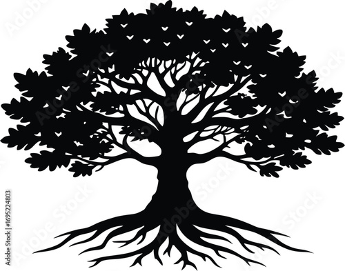 Ancient Oak With Roots Silhouette | Old Oak Tree With Roots Silhouette