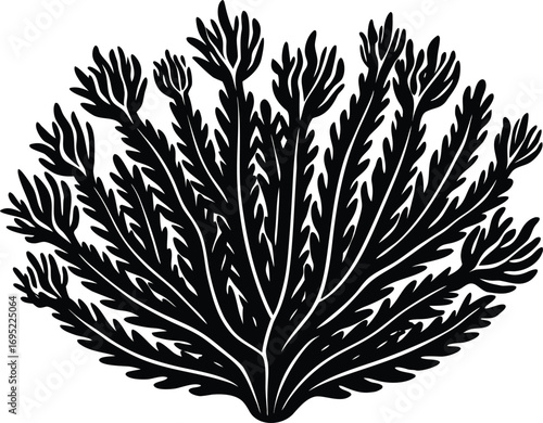 Coral Plant Silhouette | Tropical Coral Plant Silhouette