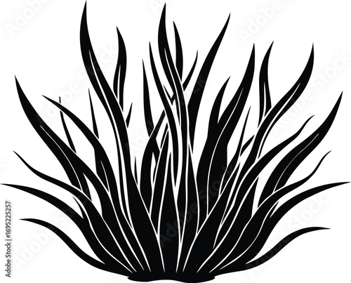 Eelgrass Silhouette | Seagrass Eelgrass Silhouette