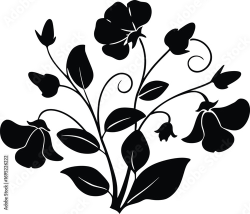 Sweet Pea Flowers Silhouette | Sweet Pea Plant Silhouette