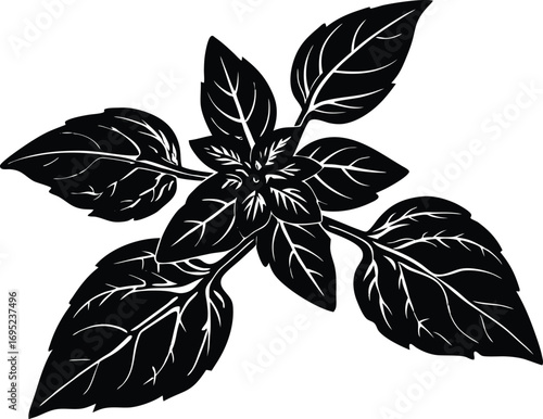 Basil Sprig Silhouette