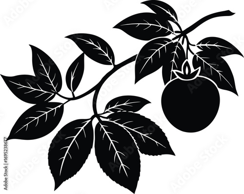 Passionfruit Vine Silhouette
