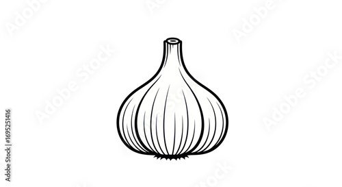 A minimalist line drawing illustration of a garlic bulb showcasing its unique form