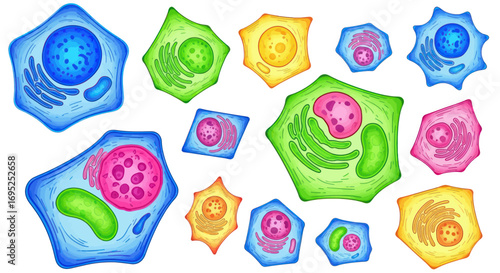Vibrant and colorful illustration of diverse cell structures under scientific observation