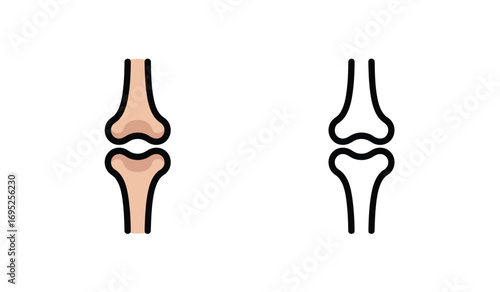 Knee Joint Medical Illustration Human Bone Anatomy and Line Art