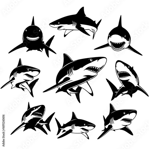 A collection of nine black and white vector illustrations of aggressive sharks from various angles.