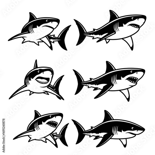 Six monochrome illustrations of great white sharks in various poses.