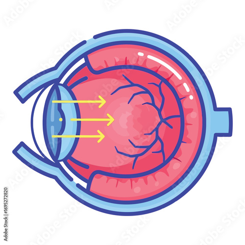 Art of anatomical diagram of the human eye showing light rays passing through the lens to the retina, isolated on white background