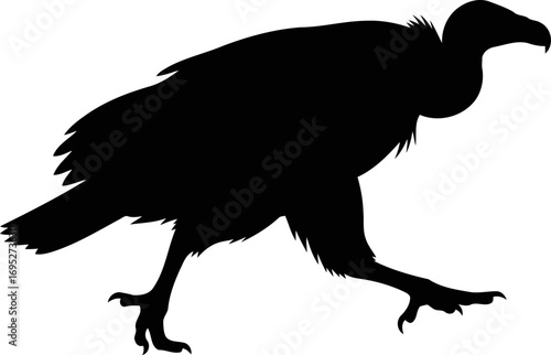 african vulture silhouette majestic scavenger in motion, powerful wings, natures silent guardian, isolated on transparent background