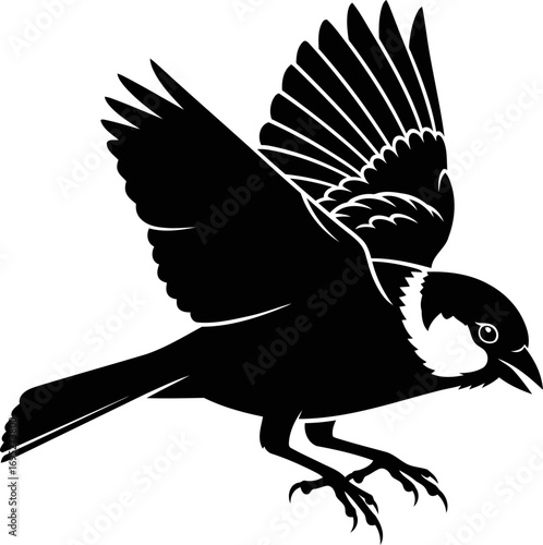 dynamic bird in flight silhouette of unbridled freedom and effortless grace, isolated on transparent background
