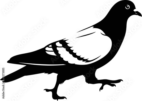 elegant black pigeon silhouette a city messengers graceful stroll, symbol of urban life and communication, isolated on transparent background