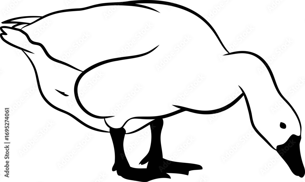 Fototapeta premium goose silhouette a serene of tranquil farm life, isolated on transparent background