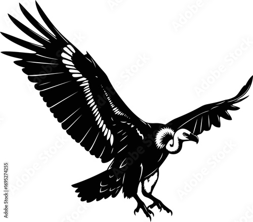 majestic andean condor silhouette art of apex predators graceful descent, isolated on transparent background